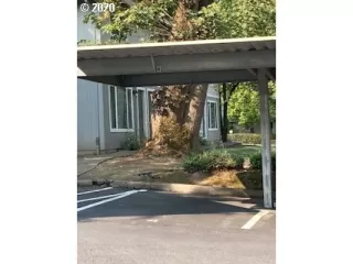 Photo #5: 20529825 Listing 