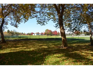 Photo #3: 20569227 Listing 