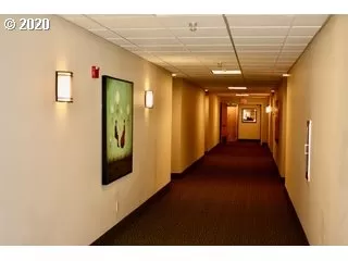 Photo #6: 20604014 Listing