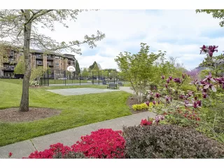 Photo #2: 20608776 Listing 
