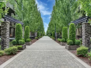 Photo #4: 20609563 Listing 