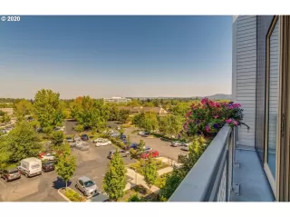 Photo #1: 20631120 Listing