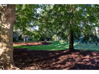 Photo #2: 20643084 Listing