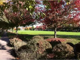 Photo #6: 20646930 Listing