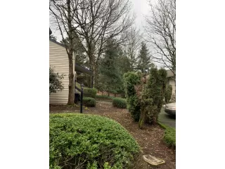 Photo #2: 20678303 Listing