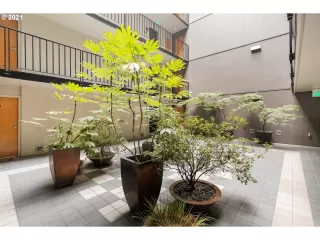 Photo #3: 21050882 Listing