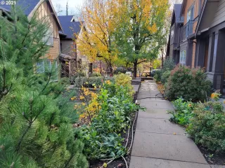 Photo #2: 21059942 Listing 