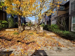 Photo #4: 21059942 Listing 