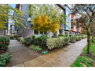 Photo #2: 21065496 Listing