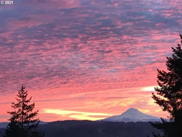 MLS: 21075742 Condo For Sale