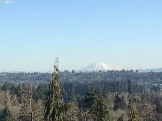 Photo #1: 21075742 Listing