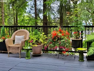 Photo #5: 21079524 Listing