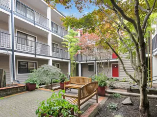 Photo #1: 21081669 Listing