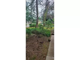 Photo #2: 21097439 Listing