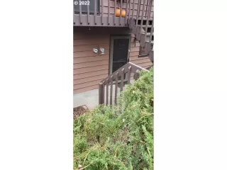 Photo #3: 21097439 Listing