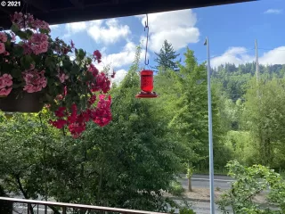 Photo #1: 21107715 Listing