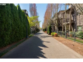 Photo #2: 21119451 Listing 