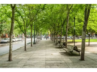 Photo #1: 21163763 Listing 