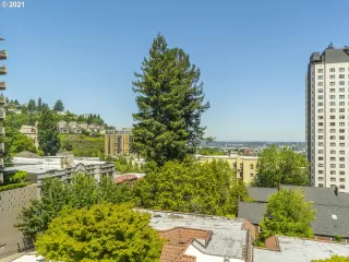 Photo #3: 21171788 Listing