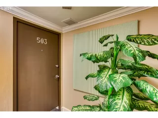 Photo #2: 21172130 Listing 