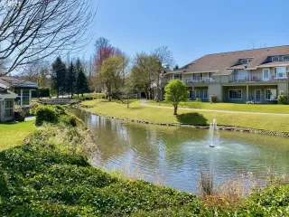 Photo #2: 21183882 Listing