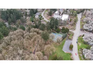 Photo #5: 21202056 Listing