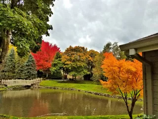 Photo #3: 21209632 Listing