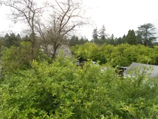 Photo #1: 21240483 Listing 