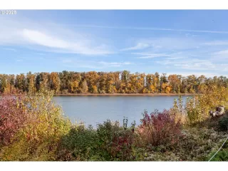 Photo #6: 212642447 Listing 