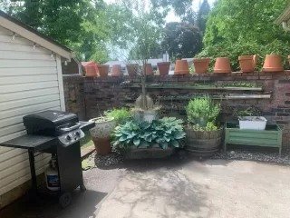 Photo #3: 21268491 Listing 