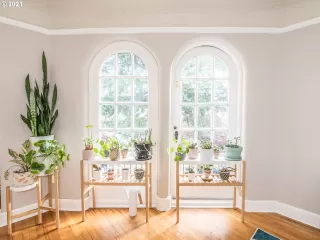 Photo #6: 21287452 Listing