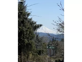 Photo #6: 21297829 Listing