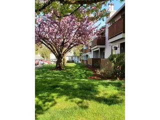 Photo #2: 21325418 Listing