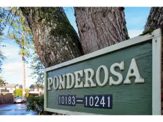 Photo #1: 21332000 Listing 