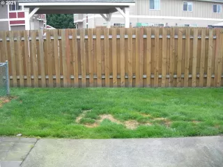 Photo #6: 21344147 Listing