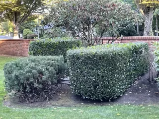 Photo #4: 21358927 Listing 