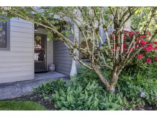 Photo #4: 21387388 Listing