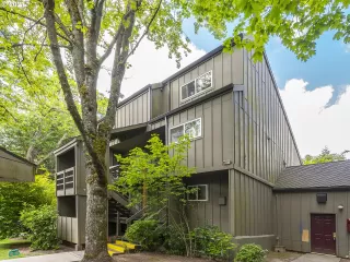 Photo #1: 21396498 Listing 