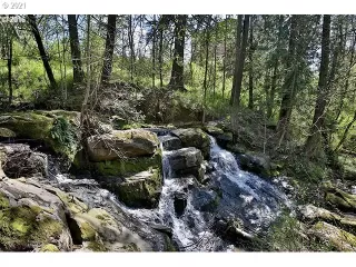 Photo #6: 21398189 Listing