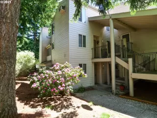 Photo #2: 21400537 Listing 