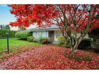 Photo #1: 21401225 Listing