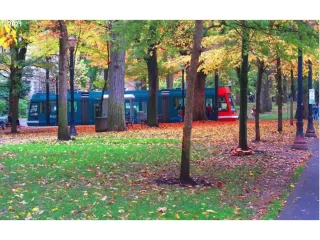 Photo #3: 21422546 Listing 