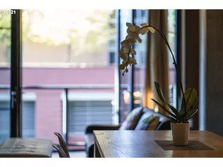 Photo #5: 21428722 Listing