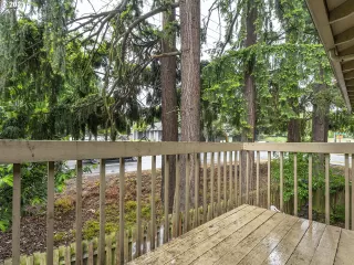 Photo #2: 21453533 Listing