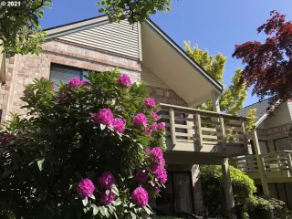 Photo #1: 21464029 Listing