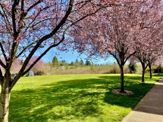 Photo #4: 21466166 Listing