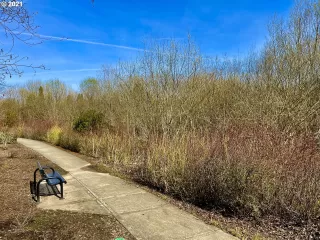 Photo #5: 21466166 Listing