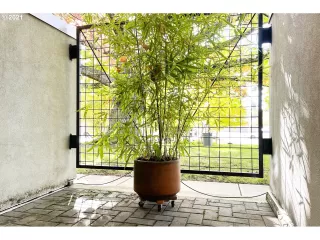 Photo #6: 21482502 Listing