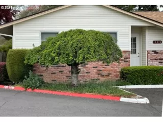 Photo #1: 21513437 Listing 