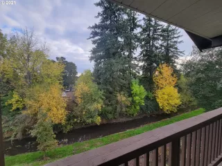 Photo #2: 21513646 Listing